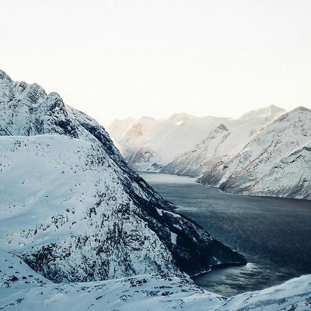 Unik Leilighet I Alesund Sentrum Bagian luar foto